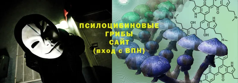 купить  цена  Закаменск  mega маркетплейс  Псилоцибиновые грибы MAGIC MUSHROOMS 